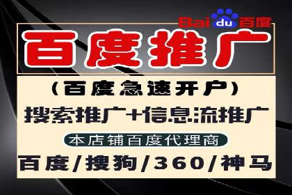 SEM服务托管实战案例分析报告